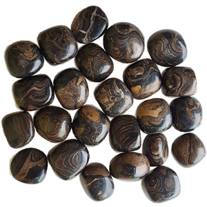 Stromatolite (Sourrite, Brown Onyx) tumbled stones 1 lb